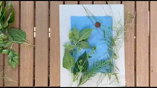 How to make Sunprints