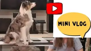 Mini Vlog + alle Tricks von Spike/Ella Eule