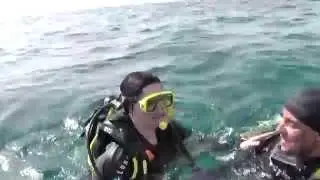 Tanjas Open Water Diver Course
