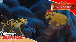 🌳 Drzewo życia | Lwia Straż | Disney Junior Polska