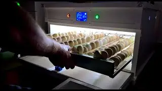 This Is My New Incubator &ndash; I Tested It Immediately (First Egg Incubation)