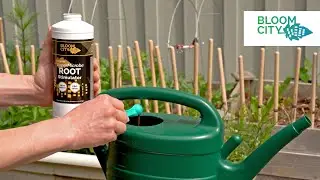 Bloom City | SuperMicrobe Root Stimulator | Organic Plant Supplement
