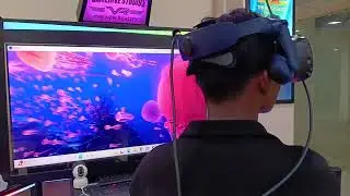 The Blu VR
