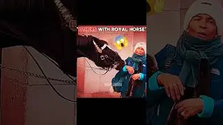 Royal horse kindness and love for woman ❤#edit #love #motivation #foryou #viralshort #shortsfeed