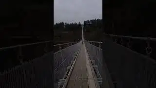 Suspension Bridge Geierlay  #geierlay #hangeseilbrucke