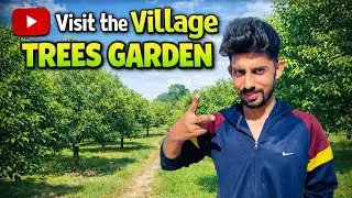 Visiti my land best information about trees and nature 🪵🌳 #funny #desi  #nature #vlog #informative