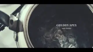 Golden Apes - Ash Trees (Official Video)