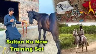 Sultan Ka New Training Set Ageya ❤️ || Shery punjab Par Ride Training 