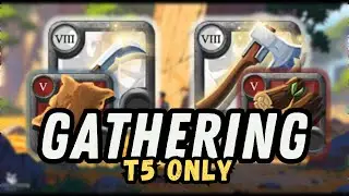T5 Gathering Test - Hide & Wood with Avalonian Tools | Full Breakdown | Albion Online Gathering