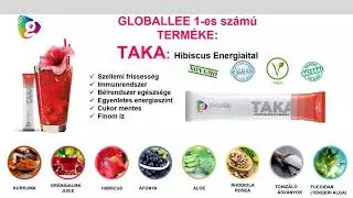 Globallee Presentation in Hungarian