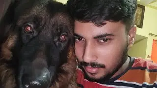 Reunion with my german shepherd Mafia after 1 month | Saturday Sunday ki chutti me mai ghar aagya