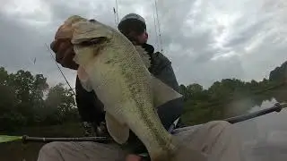 Huge Northeast Georgia Largemouth Bass!
