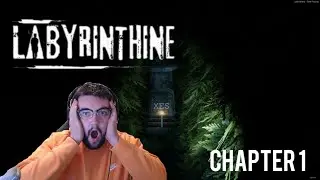 Labyrinthine CHAPTER 1 