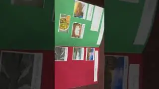 Social Study School Project | All about My State | Scrap Book Work