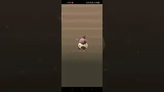 Pok&eacute;mon Go: Hatching Vullaby from egg