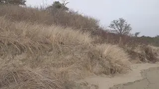 Popham Beach faces some of the worst erosion in the state