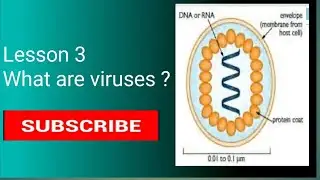 Biology Grade 12 unit 1 part_4 in Afan oromo