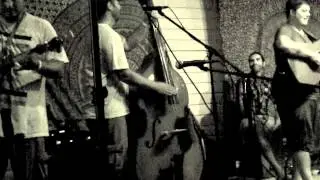 The Boiled Owls - Still They Run