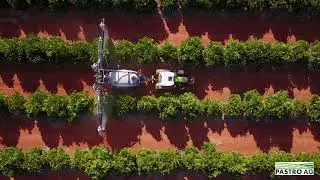 Orchard Sprayer Fungicide Optimus Multi Row by Pastro Ag