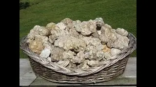 Quartz Geode hunting 12 23 15 in Missouri.