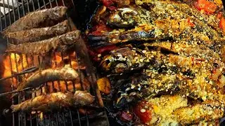 Fresh Grilled Sardines In Stewed Tomatoes #seafoodlover #campcooking