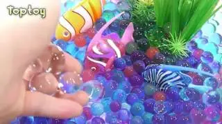 Jouet -Comment faire V&eacute;ritable poisson robotique Orbeez Aquarium; couleurs Syringe-toptoy