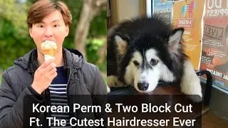 Korean Perm & Two Block Cut Men Hairstyle ft. The Cutest Hairdresser in the World-How to Style