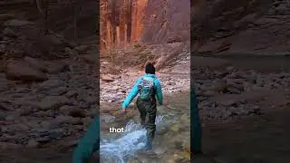 Этот поход в Зайон &mdash; просто безумный!