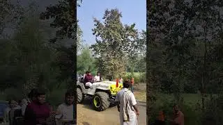 Short8 Jay Maa Mogal #mogal #maabhavani816 #mataji #ma #shorts #shortsfeed #tending