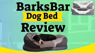 Barksbar Orthopedic Dog Bed Review - Buy BarksBar Orthopedic Dog Bed