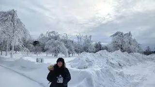 Niagara Falls winter adventure 😁 1/28/26