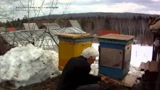 AMBA0387.MOV