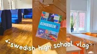 My Life as a SWEDISH High School Senior!😊