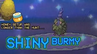 578 - One of my fastest hunts EVER! LIVE! Shiny Burmy after ONLY 36 SRs in Platinum!