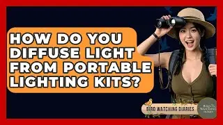 How Do You Diffuse Light From Portable Lighting Kits? - Bird Watching Diaries