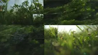 giardino - single mix