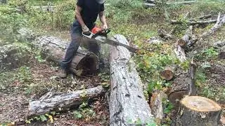 STIHL MS 362 with 28 inch bar  ?