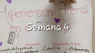 Ruralitas Tocópero - Semana 4 (del 08/12/2025 al 14/12/2025)