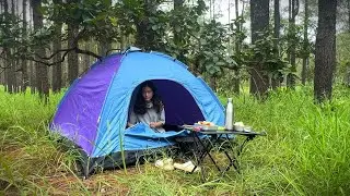 Solo Camping overnight in the forest. Eating in the forest. #camping #survival #heavyrain #asmr