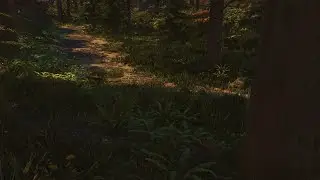 Being Brought to Oblivion while Trying to Show ENB Complex Grass
