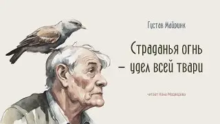 #аудио Густав Майринк рассказ &laquo;Страданья огнь &mdash; удел всей твари&raquo; / читает Нана Медведева