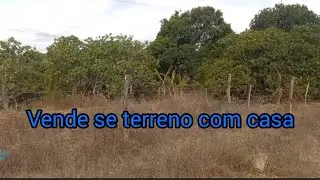 TERRENO DE 1 HECTARES COM CASA PRA VENDER 
