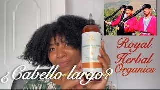 El secreto asi&aacute;tico para un cabello largo! (Champ&uacute; de Arroz Fermentado &ndash; Royal Herbal Organics)