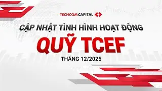 BẢN TIN CẬP NHẬT TÌNH HÌNH HOẠT ĐỘNG QUỸ TCEF THÁNG 12/2025