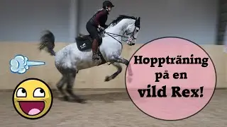 ♞ Träningsvlogg ♞ Rex är helt tokig på årets första hoppträning!