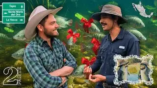 ¡EL GANADO MÁS RENTABLE DEL MUNDO! Desde Nayarit