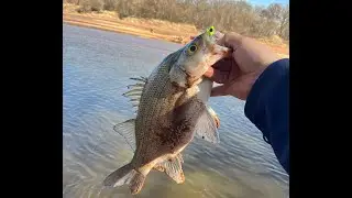 Ask an Angler: Virtual Fishing Course (Bank Fishing for White Bass)