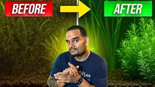 Don't Clean Your Fish Tank For A Month | Here's What Happens