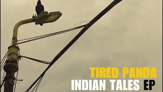 Tired Panda - Indian Tales (short movie)