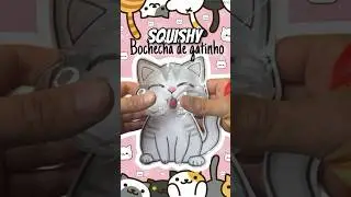 SQUISHY bochecha de gatinho fofo 🐈🥰